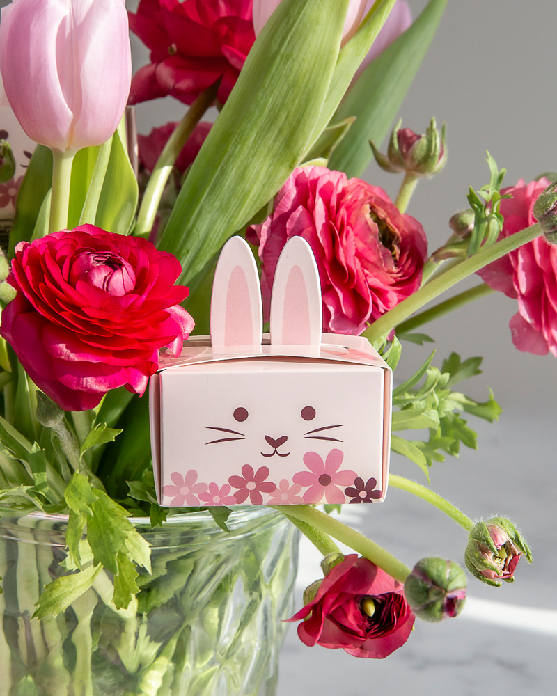 Viba Lola Langohr im Blumenstrauß